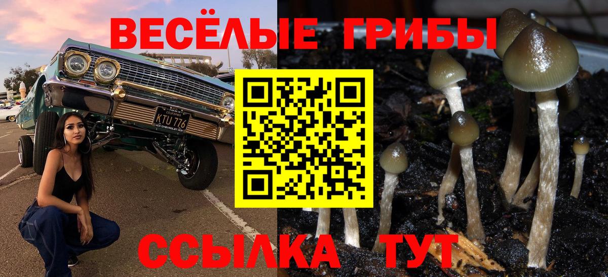 Галлюциногенные грибы Magic Shrooms Сарапул
